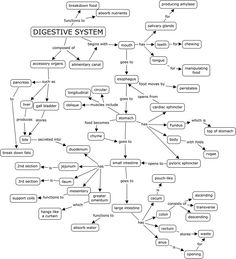 a diagram that shows the different types of digests and their corresponding functions, including