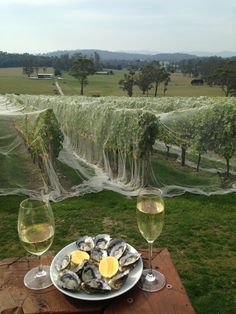 two glasses of wine sitting on top of a wooden table next to a plate of oysters