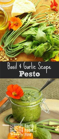 basil and garlic scape pesto in a jar