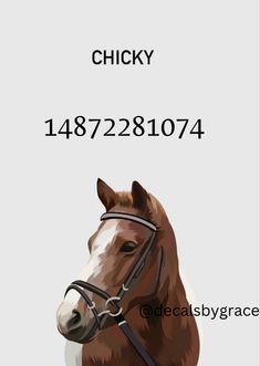 a brown horse with a bridle on it's head and the words chicky