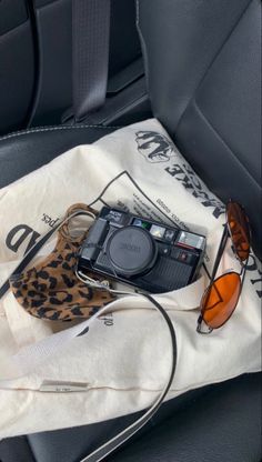 a camera, sunglasses and leopard print bag sitting in the back seat of a car