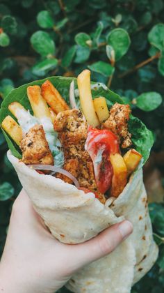 a hand holding a wrap filled with food