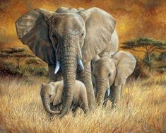 paint by numbers | family of elephants | new arrivals animals elephants advanced | FiguredArt Air Force Symbol, Mother And Baby Tattoo, 3 Elephants, Baby Tattoo, Fish Symbol, Loving Mother, Baby Elephants, Family Of 3, Tattoo Arm