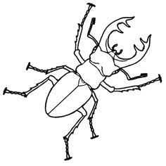 a bug that is drawn in black and white