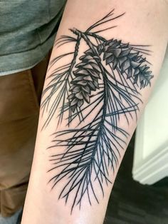 a pine cone and branch tattoo on the arm