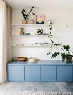 a blue shelf with plants on it in a room