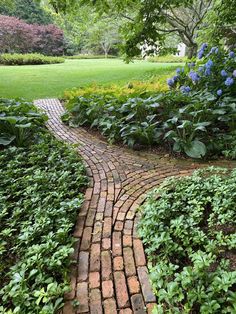 a brick path in the middle of a garden