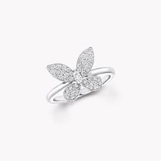 With an elegant marquise diamond at its heart, this small version of our Pavé Butterfly ring features sculptural wings that are gently angled to create lifelike volume and set with gleaming pavé diamonds. Set upon a delicate white gold band, this delicate jewel is petite enough to wear every day. The butterfly is a signature Graff motif that has inspired an entire universe of jewels. We delight in bringing their delicate, graceful form to life in the finest diamonds. An enchanting Butterfly pavé Designer Diamond Rings, Butterfly Diamond Ring, Diamond Butterfly Ring, Diamond Drop Pendant, Graff Diamonds, Round Diamonds Wedding Band, Mini Bracelet, Diamond Butterfly, Small Ring