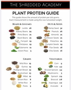 Plant Protein Vs Animal Protein, Vegan Proteins, Protein Guide, High Protein Vegetables, High Protein Vegetarian Recipes, Healthy High Protein Meals, Plant Based Diet Recipes, Vegetarian Protein