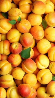 a pile of peaches with leaves on them