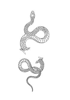 a black and white drawing of a snake