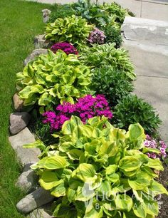 a garden bed with flowers and rocks in the grass next to a sidewalk on a sunny day