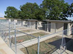 an outdoor dog kennel with several dogs in the fenced area and trees behind it