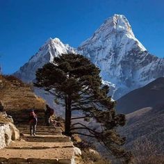 two people walking up some steps in front of a snow covered mountain range with pine trees