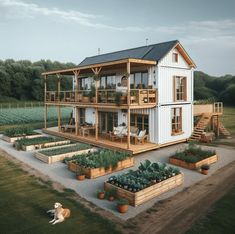 a large white house sitting on top of a lush green field next to a dog