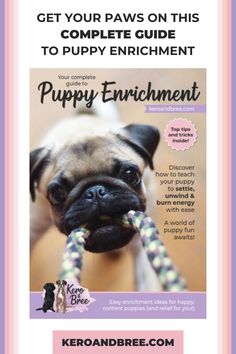 a flyer with a dog holding a rope in it's mouth and the words, get your paws on this complete guide to puppy enrichment