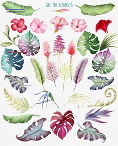 watercolor tropical leaves and flowers on a white background with the words, be the elements