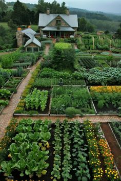 an aerial view of a garden with many different types of plants and flowers in it