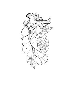 a drawing of a heart and flowers on a white background