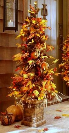 a small tree is decorated with autumn leaves