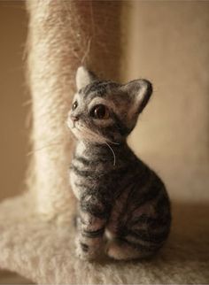 a cat sitting on top of a pile of carpet next to a scratching pole and looking up at the camera