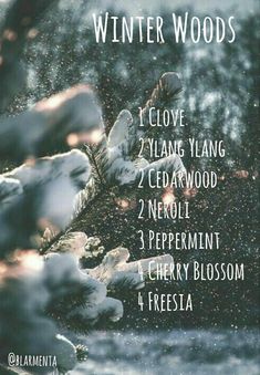 Winter Essential Oil Blends, Cedar Wood Essential Oil, Fragrance Blends, Winter Woods, Homemade Oil