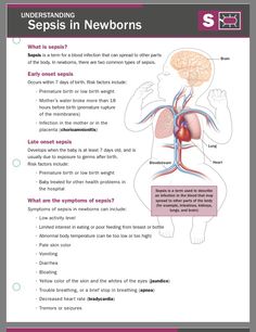 a poster explaining the functions of the nervous system