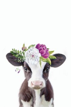 a baby cow with a flower crown on its head is standing in front of a white background