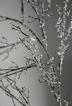 an image of a branch with ice on it and the text how to make easy branched save tons