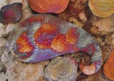 an assortment of colorful seashells are on the ground