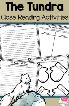 the tundra close reading activities with an image of a polar bear sitting on top of a