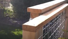 a bird is perched on the top of a fence