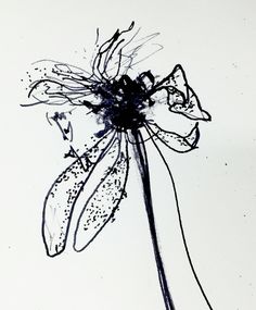 a black and white drawing of a flower