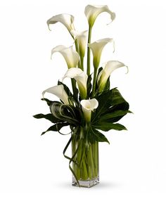 white calla lilies and greenery in a glass vase on a white background