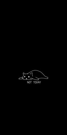 a black and white photo with the words not today written on it in front of an image of a sleeping cat