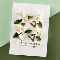 a greeting card with white flowers and green leaves