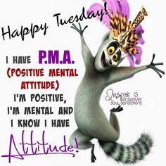 happy tuesday i have positive mental attitude i'm positive, i'm mental and i know i have attitude