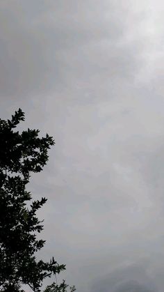 an airplane is flying in the sky above some trees and clouds on a cloudy day