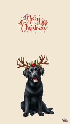 a black dog with antlers on its head and the words merry christmas written above it