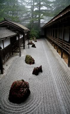 an outdoor area with rocks and gravel in the foreground, surrounded by pine trees