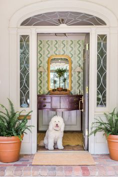 A white, fluffy dog sits at the entrance of a home with an open door. Inside, there is a console table with a mirror and decorative items by Mary Clair Cumbaa. The entryway is decorated with potted plants. Bali Hai Wallpaper, Foyer Wallpaper, Boston House, Entry Stairs, Bali Hai, Screen Printed Fabric, Southern Home, Southern Style, Residential Design