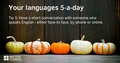 five orange and white pumpkins lined up in front of a wooden wall with the words 5 - day tips for teachers