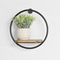 a potted plant sitting on top of a wooden shelf