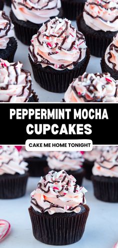 peppermint mocha cupcakes with chocolate frosting and candy canes