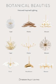 the botanical beauties that are featured in this brochure, including chandeliers and