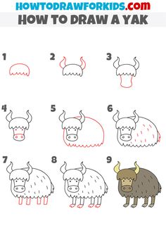 how to draw a yak step by step instructions for kids and beginners with pictures