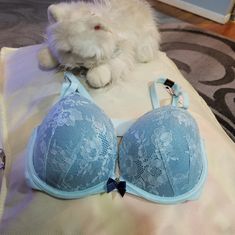 Sexy Push Up Bra. Lace Trim On Both Cups. Very Attractive And Soft. Straps Can Be Worn Both Straight And Crossed Ways. Color Turquoise. Stretch Underwire Bra In Light Blue, Light Blue Stretch Underwire Bra, Light Blue Push-up Bra, Balconet Bra, Lace Bras, Victorias Secret Set, Vs Bras, Bra Lace, Victoria Secret Body