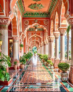 an ornate hallway with many potted plants on either side