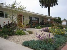 a house with lots of plants in front of it