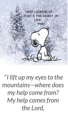 a snoopy saying about the life and love of his dog, who is in the snow